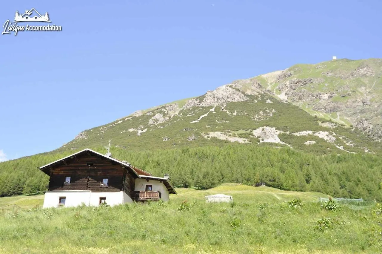 Apartment Appartamenti Green By Livigno Accomodation
