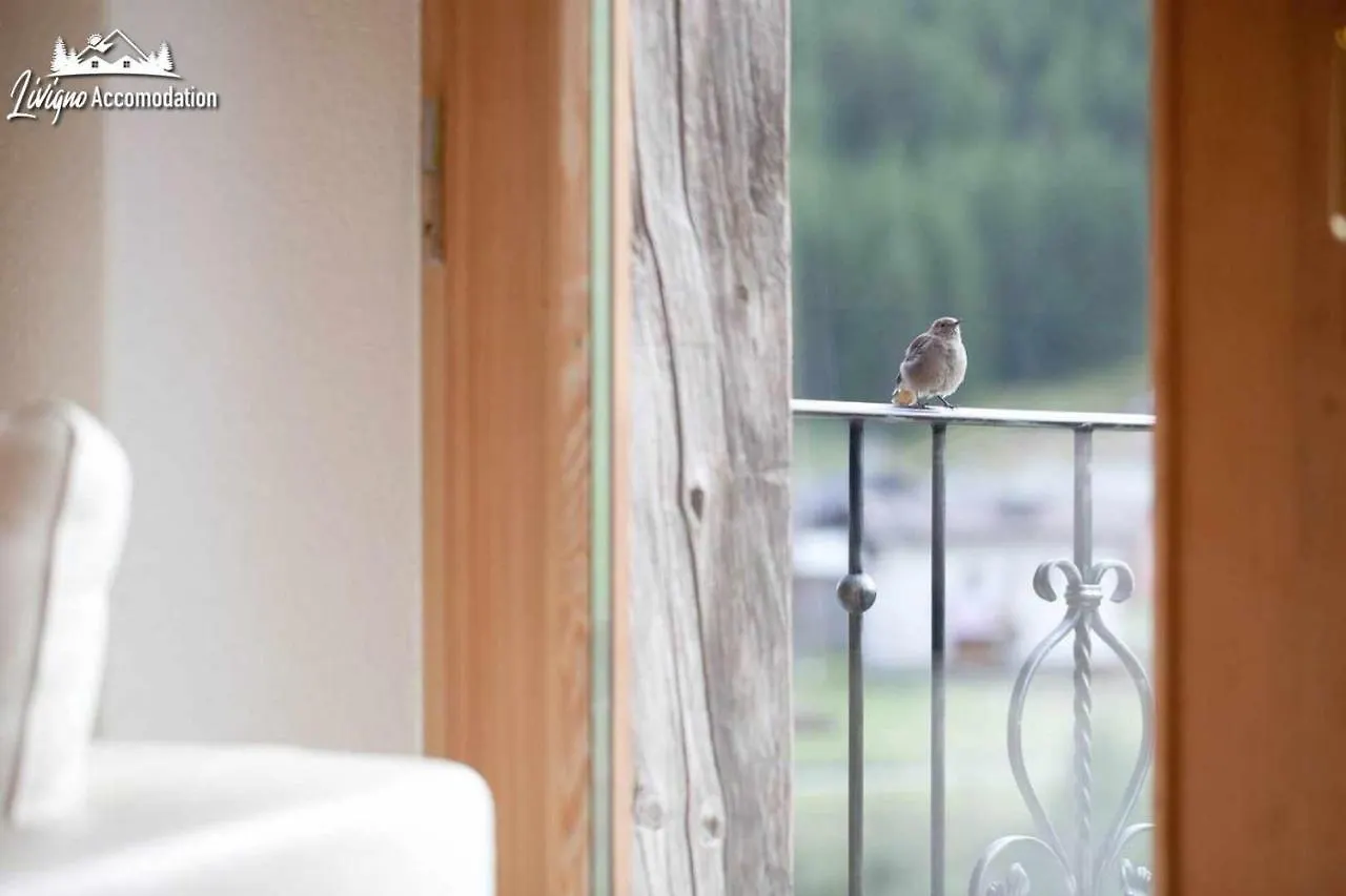 Appartamenti Green By Livigno Accomodation 0*,